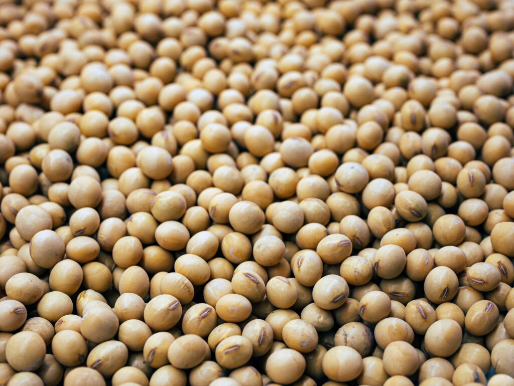 Soy extract – antioxidant-rich botanical ingredient for radiant skin"