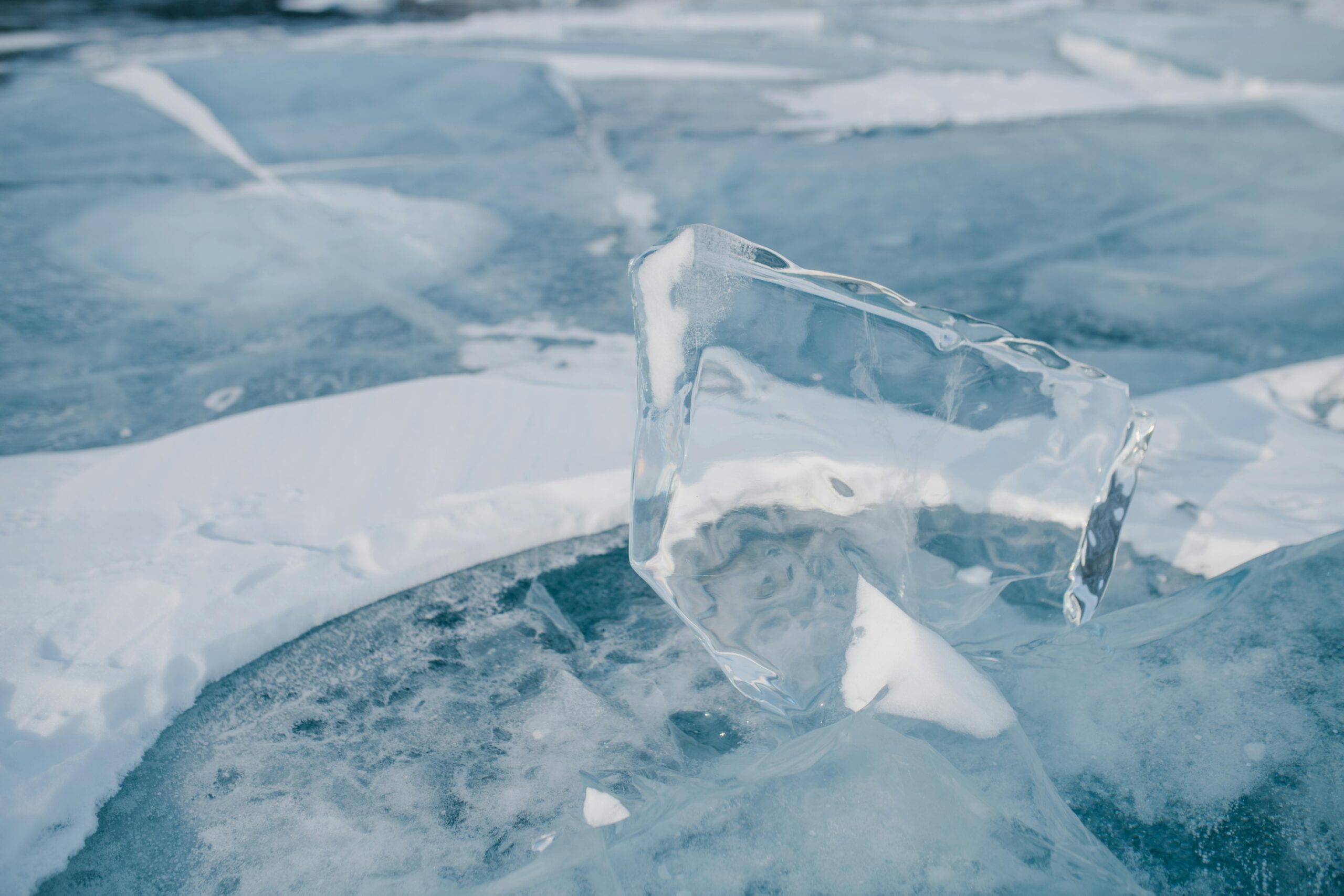 Ice cubs, cold plunge