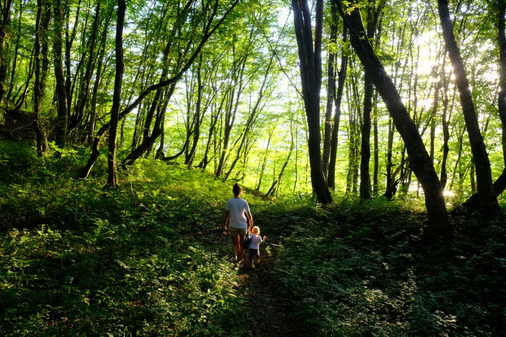 Woman and child walking in the forest